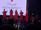 Utrip iz kulturnega programa